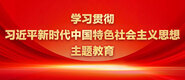 操逼骚观看学习贯彻习近平新时代中国特色社会主义思想主题教育_fororder_ad-371X160(2)